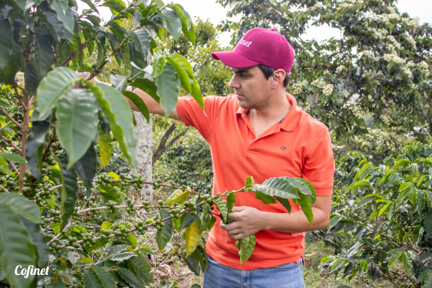 Colombia Sebastián Gomez - Micro-lot